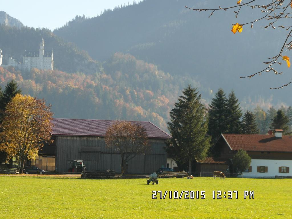 Sonnenhof Apartment